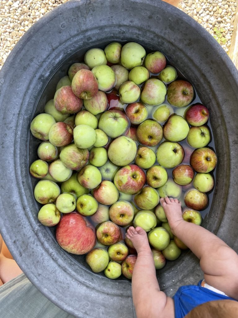 TU PEUX CRÉER TON PROPRE JUS DE POMME